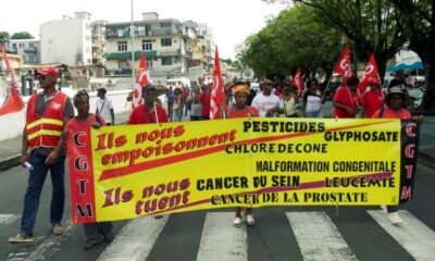 Chlordécone un an pour que l'État organise l'indemnisation des victimes