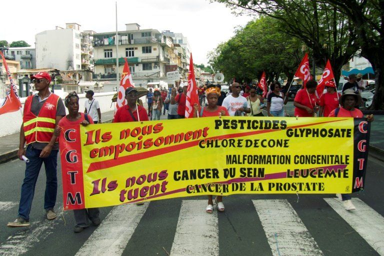 Chlordécone un an pour que l'État organise l'indemnisation des victimes
