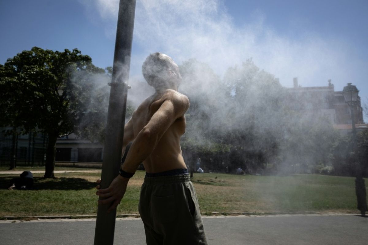 La canicule exceptionnelle fait plier les hôpitaux et réveille les solidarités