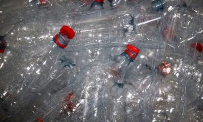 La consigne des bouteilles plastique, un plan du gouvernement qui fâche les collectivités