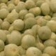 Ne croquez pas ces melons achetés chez Lidl ou Aldi