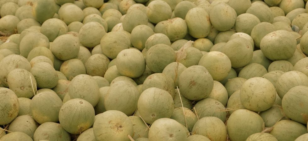 Ne croquez pas ces melons achetés chez Lidl ou Aldi