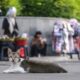 Des millions de chats errants envahissent Jakarta, entre amour et nuisances