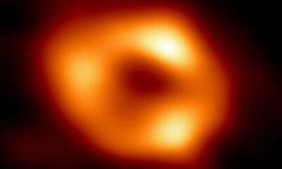 Ils ont capté la signature de l’horizon d’un trou noir