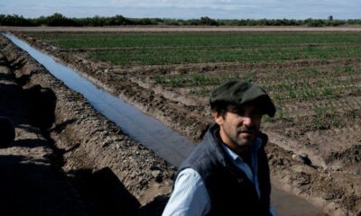 L’eau s’évapore avant même d’arroser les champs : le cauchemar argentin de San Juan