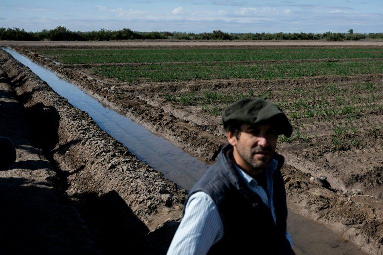 L’eau s’évapore avant même d’arroser les champs : le cauchemar argentin de San Juan