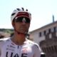 Narvaez fait volte-face et reste chez UAE aux côtés de Pogacar