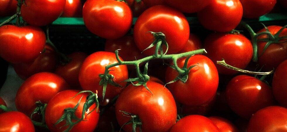 Les bons gestes alimentaires pour supporter la canicule
