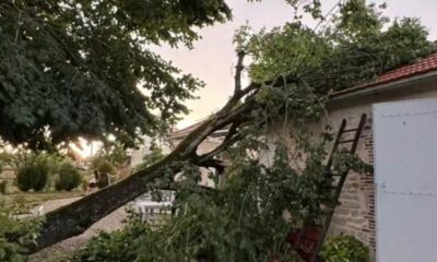 Quand la canicule accouche d'orages destructeurs en Vendée
