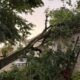 Quand la canicule accouche d'orages destructeurs en Vendée