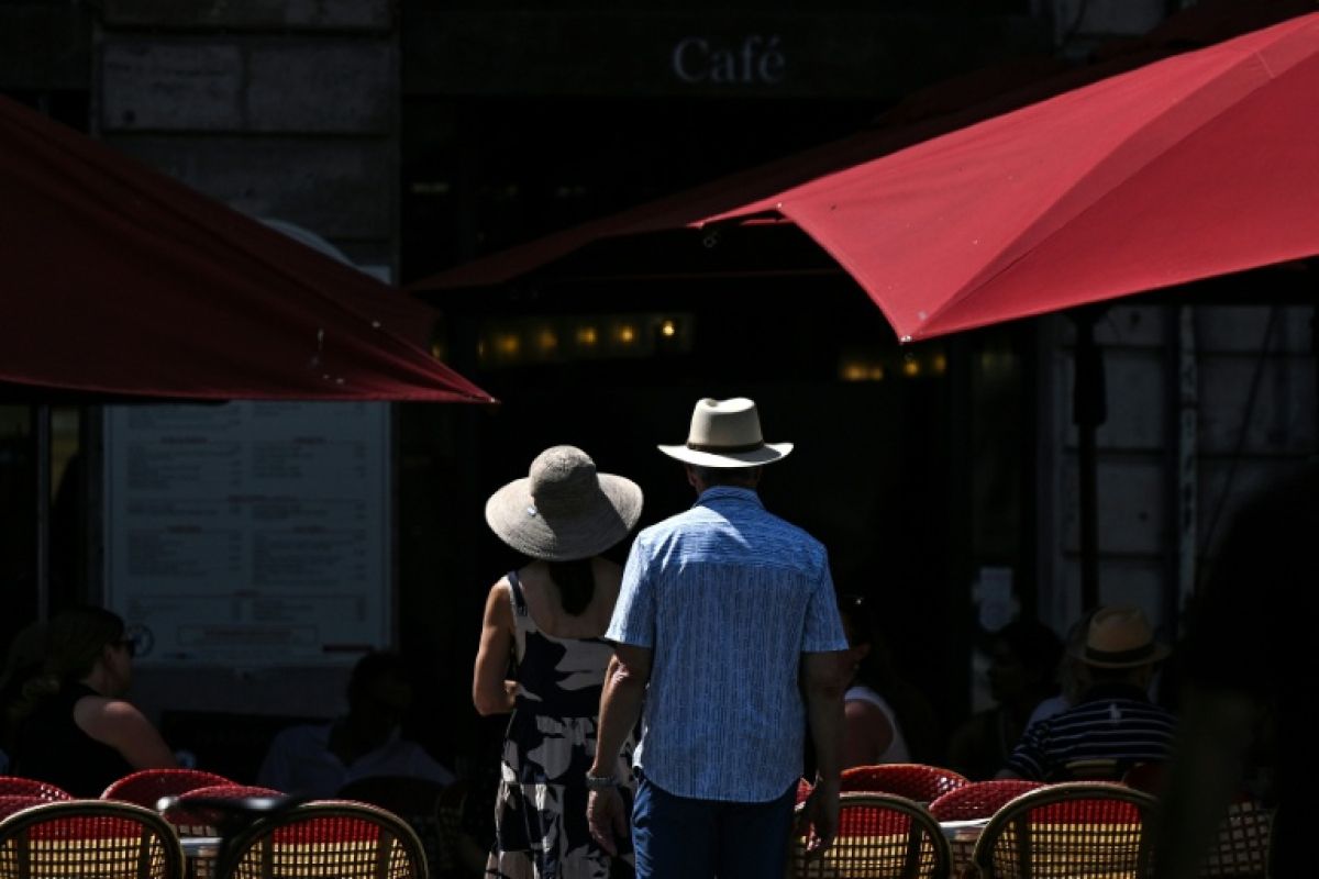 Canicule record en France les corps et les esprits à cran face à la chaleur qui tue