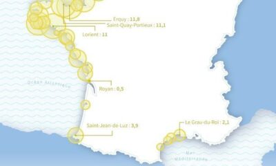 Un hiver sans filets pour les dauphins du golfe de Gascogne en 2027