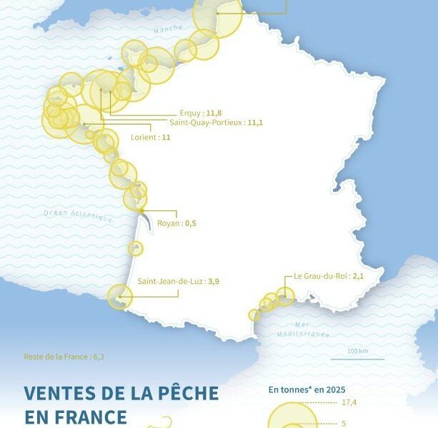 Un hiver sans filets pour les dauphins du golfe de Gascogne en 2027