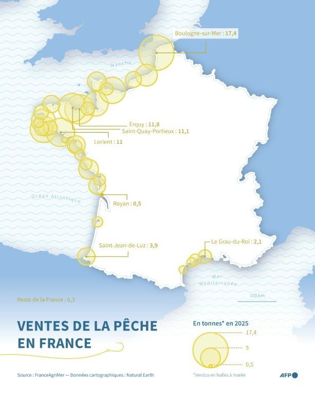 Un hiver sans filets pour les dauphins du golfe de Gascogne en 2027