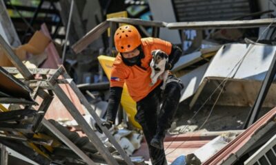 Séisme aux Philippines 41 morts et des secours qui peinent sous les répliques