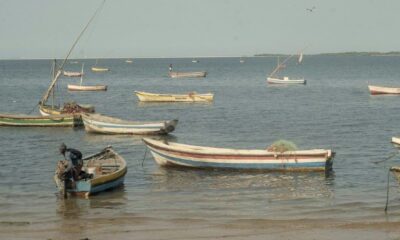 Au Mozambique, des pêcheurs bloqués par un carburant devenu trop cher