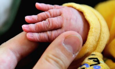 Nouveau congé naissance en France ce qui change vraiment pour les parents