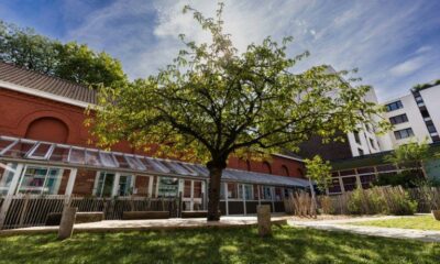 Des arbres à la place du bitume les écoles lilloises gagnent en fraîcheur