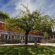 Des arbres à la place du bitume les écoles lilloises gagnent en fraîcheur