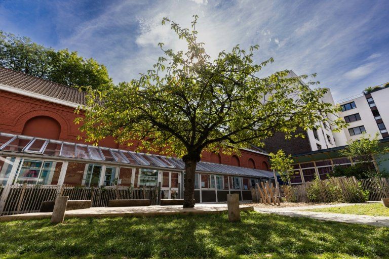 Des arbres à la place du bitume les écoles lilloises gagnent en fraîcheur