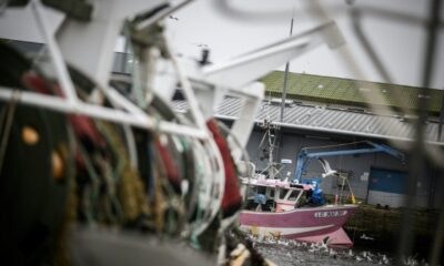 Ils veulent sauver la pêche française, les marins se réunissent à Cherbourg