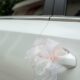 Cortège de mariage flashé une vingtaine de fois en quelques minutes à Valence