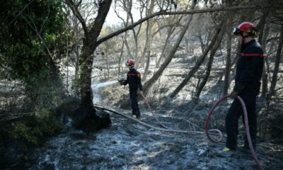 4 900 hectares partis en fumée le feu recule mais reste imprévisible dans les Pyrénées-Orientales