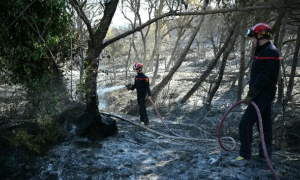4 900 hectares partis en fumée le feu recule mais reste imprévisible dans les Pyrénées-Orientales