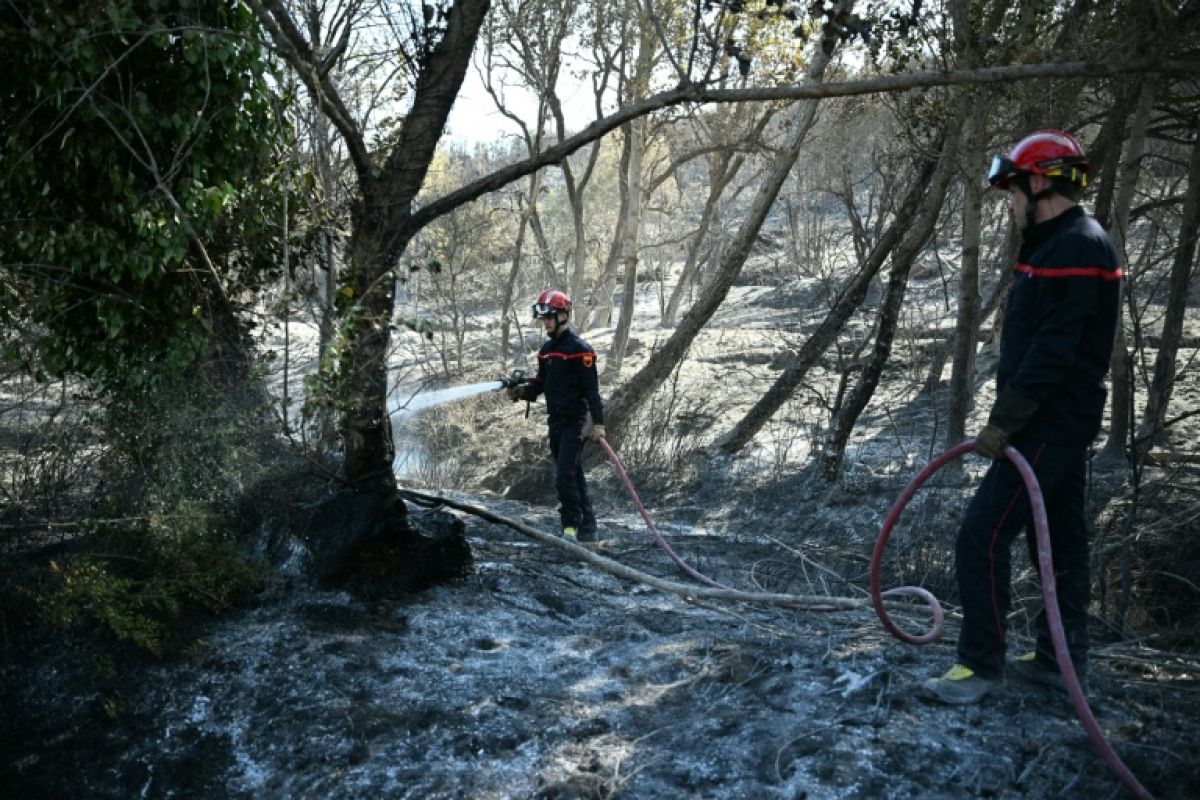 4 900 hectares partis en fumée le feu recule mais reste imprévisible dans les Pyrénées-Orientales