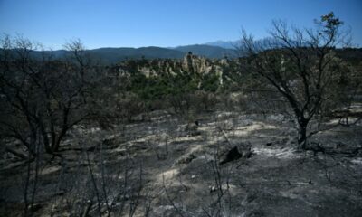 Le feu dans les Pyrénées-Orientales souffle, mais ne gagne plus de terrain