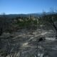 Le feu dans les Pyrénées-Orientales souffle, mais ne gagne plus de terrain