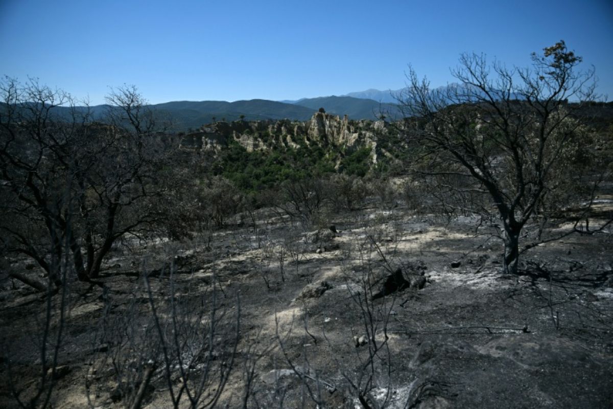 Le feu dans les Pyrénées-Orientales souffle, mais ne gagne plus de terrain