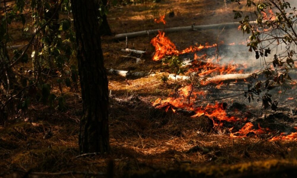 Bruxelles en première ligne pour coordonner l'aide contre les incendies en France et en Espagne