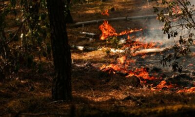 Bruxelles en première ligne pour coordonner l'aide contre les incendies en France et en Espagne