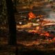 Bruxelles en première ligne pour coordonner l'aide contre les incendies en France et en Espagne