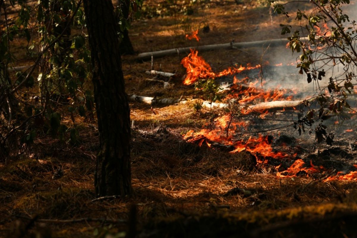 Bruxelles en première ligne pour coordonner l'aide contre les incendies en France et en Espagne
