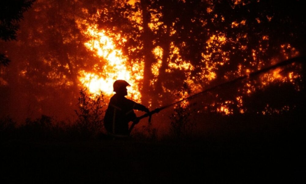 40 000 évacuations en Gironde le plus gros incendie de l'année ravage la forêt