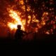 40 000 évacuations en Gironde le plus gros incendie de l'année ravage la forêt