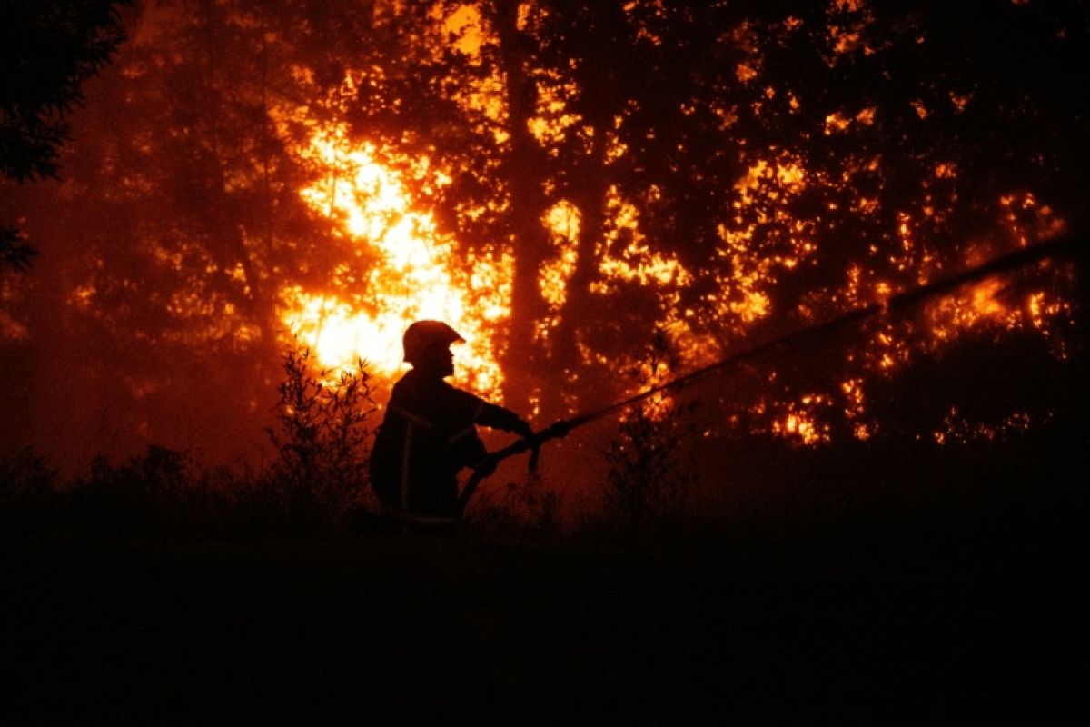 40 000 évacuations en Gironde le plus gros incendie de l'année ravage la forêt