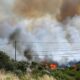 Un feu dévore la garrigue dans les Pyrénées-Orientales, 5 000 habitants évacués