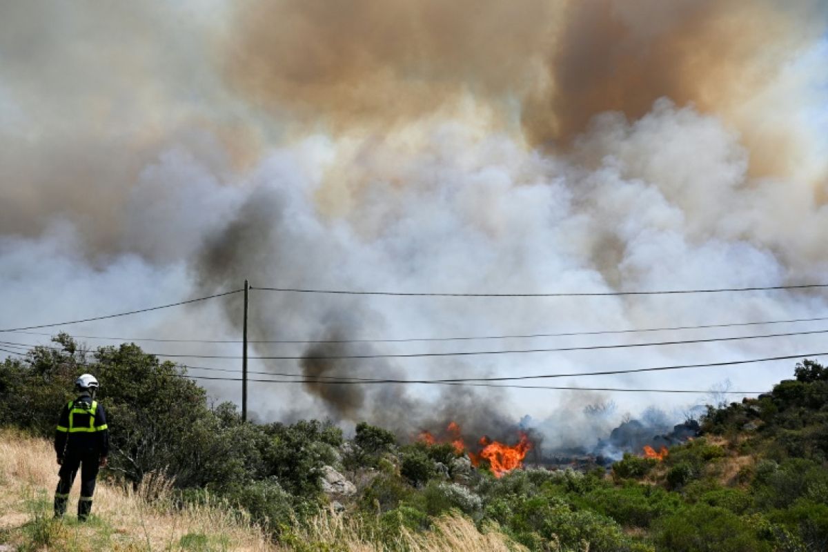 Un feu dévore la garrigue dans les Pyrénées-Orientales, 5 000 habitants évacués