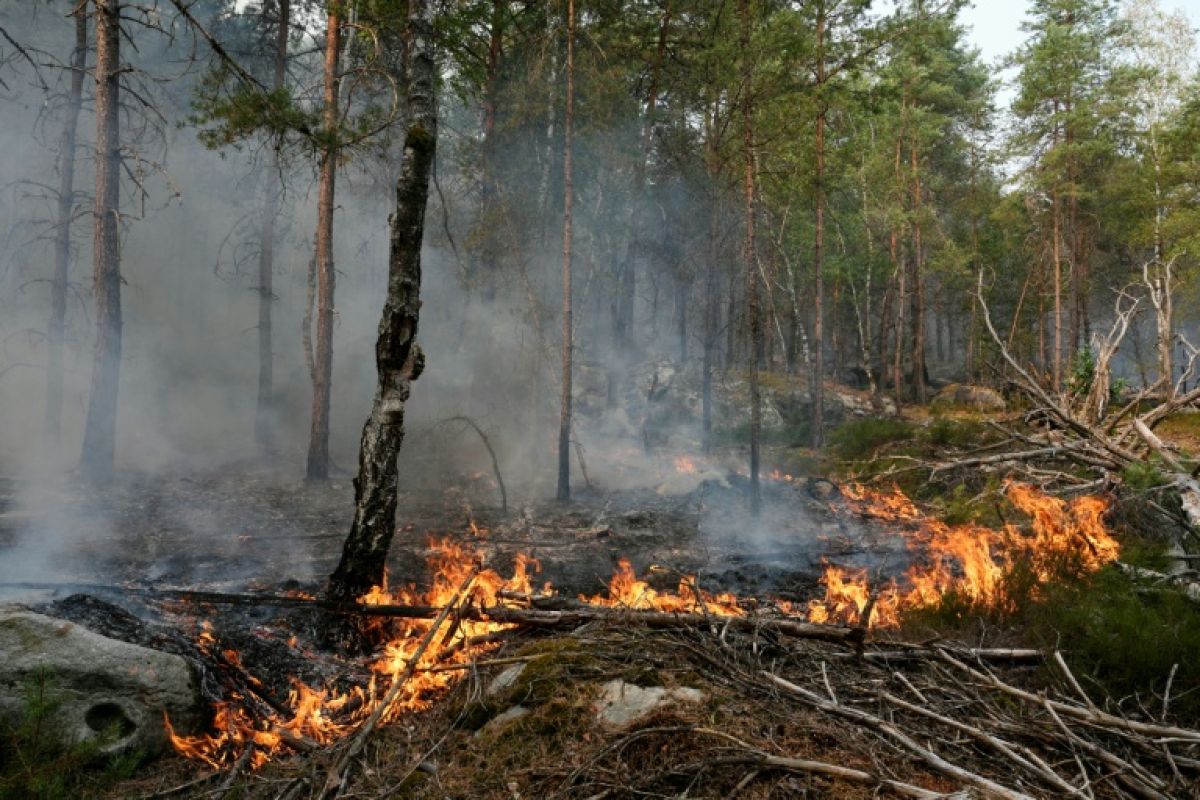 Un pompier volontaire soupçonné d'avoir allumé le feu de forêt à Fontainebleau