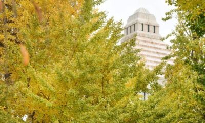 Deux cabines de plus pour les femmes au Parlement japonais. Et c'est une petite révolution