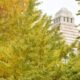 Deux cabines de plus pour les femmes au Parlement japonais. Et c'est une petite révolution