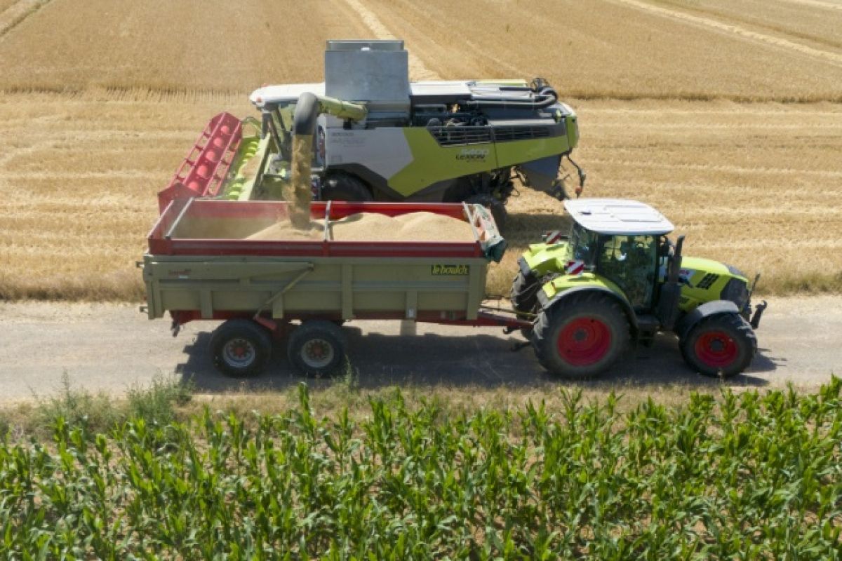 Production agricole en hausse de 4,7% mais les agriculteurs restent dans le rouge