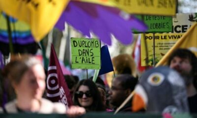 Des militants ont tagué le Sénat pour dénoncer une loi qui "brade" l'environnement