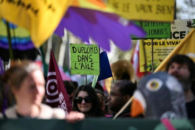 Des militants ont tagué le Sénat pour dénoncer une loi qui "brade" l'environnement