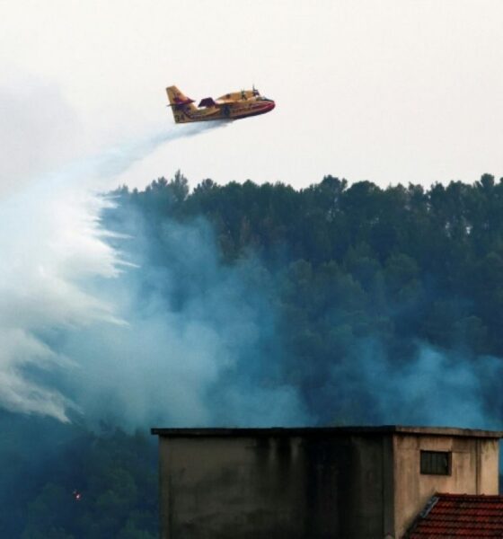 Il aurait allumé dix incendies dans le Var et se retrouve en prison