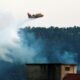 Il aurait allumé dix incendies dans le Var et se retrouve en prison