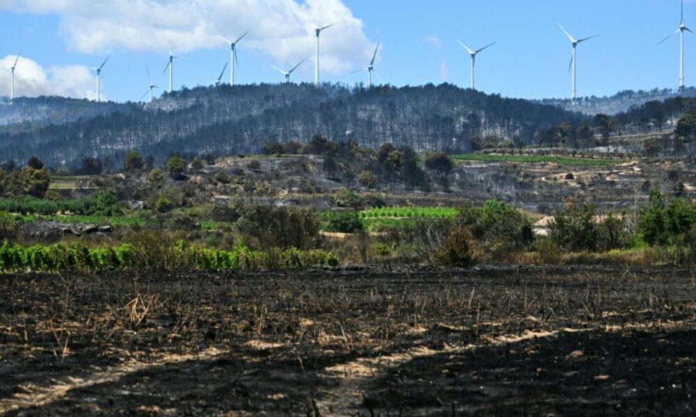 Sous le vent et la sécheresse, le feu de forêt repart de plus belle dans l’Aude